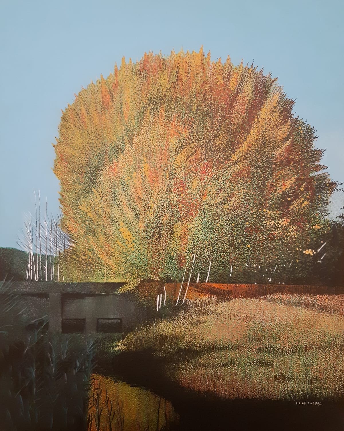 Louis de Jager - Poplar Grove at Grand View